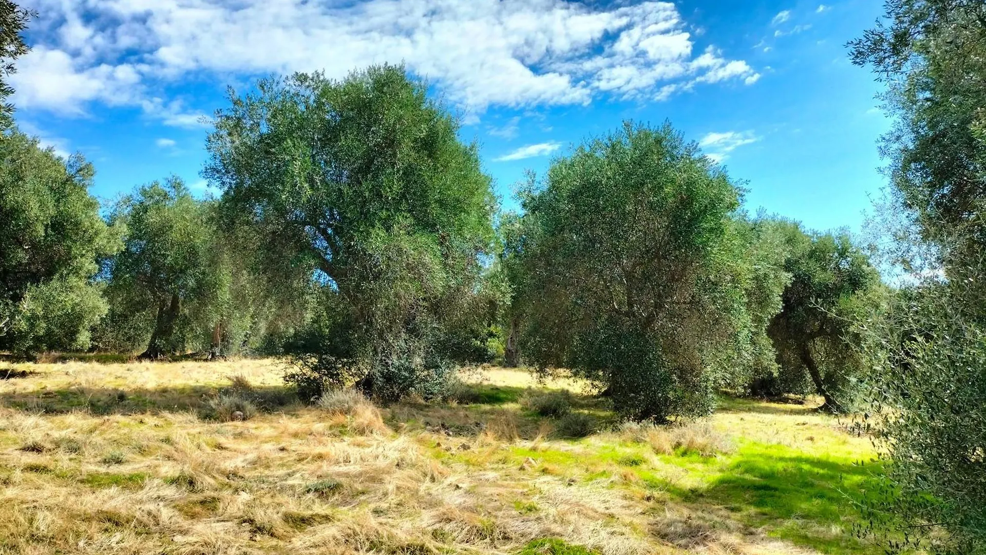 Agriturismo Lillastro Braccagni Italy